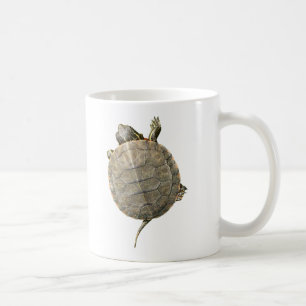 Tiny Turtle Crawling Up Side of Mug