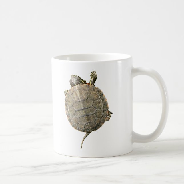 Tiny Turtle Crawling Up Side of Mug (Right)