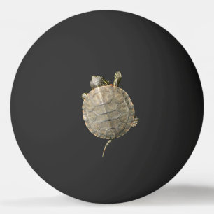 Tiny Turtle on Black Ping Pong Ball