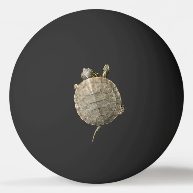 Tiny Turtle Tortoise Animal Photography Ping Pong Ball (Front)