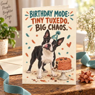 Tiny Tuxedo Big Chaos Boston Terrier Birthday Card