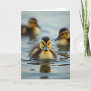 Tiny Waterfowl Portrait Card