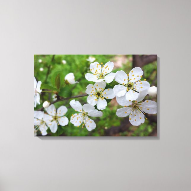 tiny white flowers canvas print (Front)