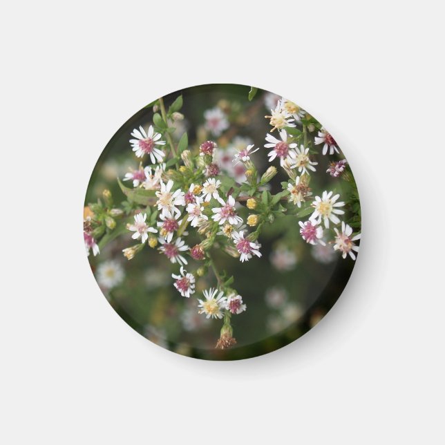 Tiny White Flowers Magnet (Front)