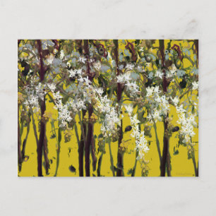 Tiny White Flowers Postcard