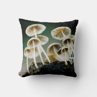 Tiny wild mushrooms cushion