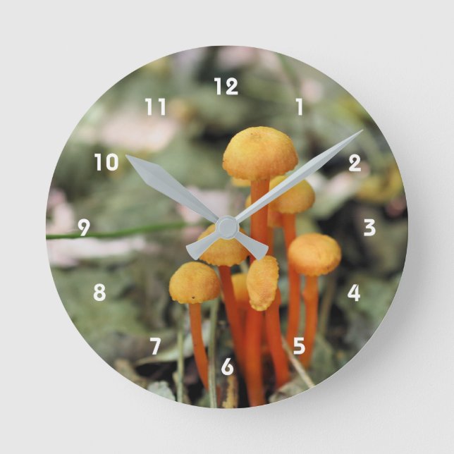 Tiny Wild Orange Mushrooms Nature Round Clock (Front)