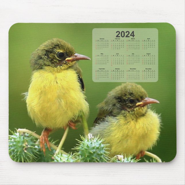 Tiny Yellow Birds on a Green Plant 2024 Calendar Mouse Mat (Front)