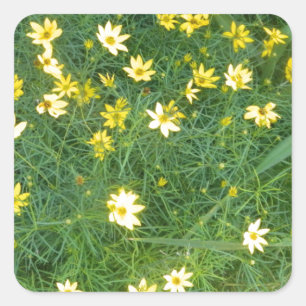 Tiny yellow flowers with greenery square sticker