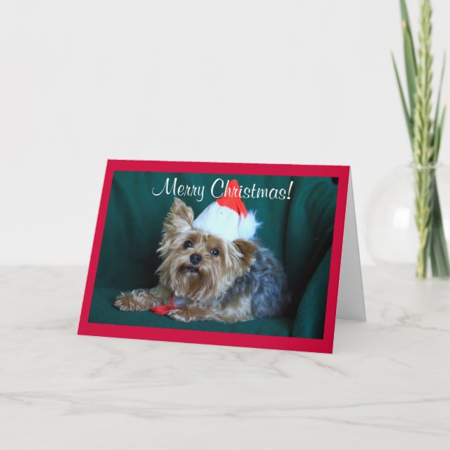 Tiny Yorkie in Santa Hat Holiday Card (Front)