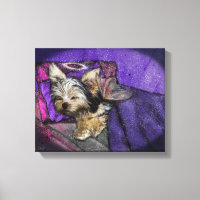 Tiny Yorkie Sleeping Angel Halo Memorial Art