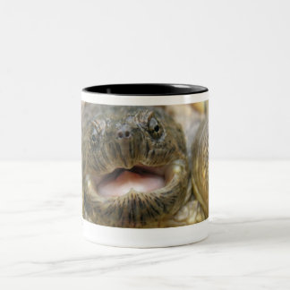 Tinytwo 02 Two-Tone coffee mug