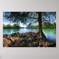Tip of RedBud Isle on LadyBird Lake - Austin TX