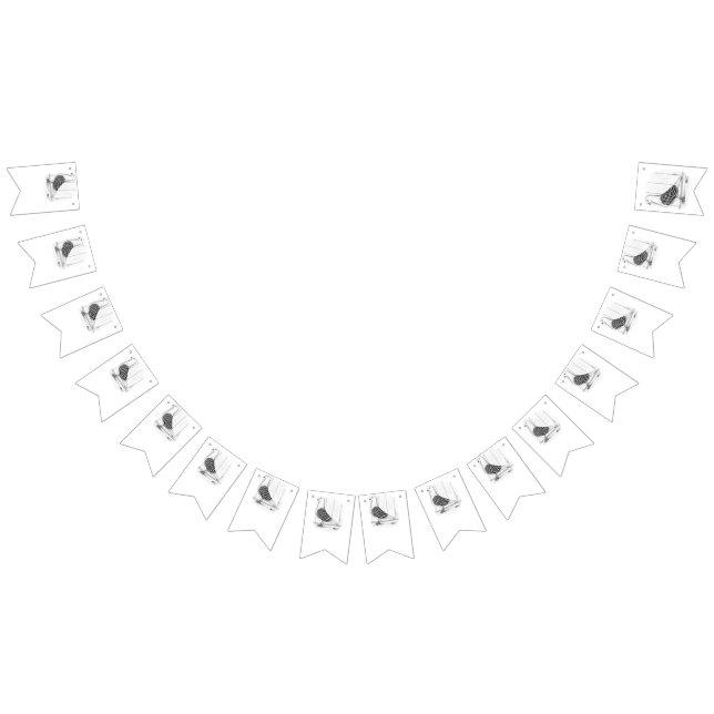 Tippler Shield Marked Pigeon Bunting (All)