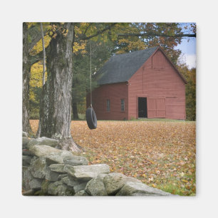 Tire swing along a road in Southern Vermont, Magnet