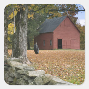 Tire swing along a road in Southern Vermont, Square Sticker