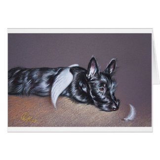 Tired Angel ( Scottie)