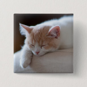 Tired Beige And White Kitten 15 Cm Square Badge