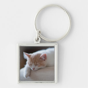 Tired Beige And White Kitten Key Ring