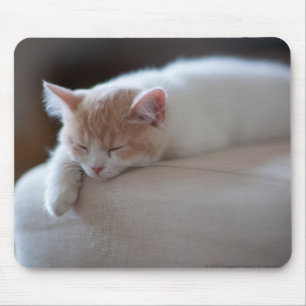 Tired Beige And White Kitten Mouse Mat