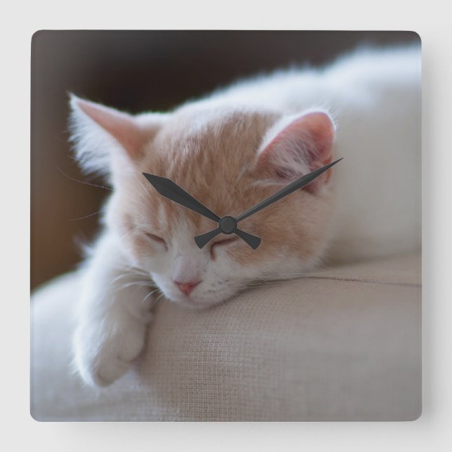 Tired Beige And White Kitten Square Wall Clock (Front)