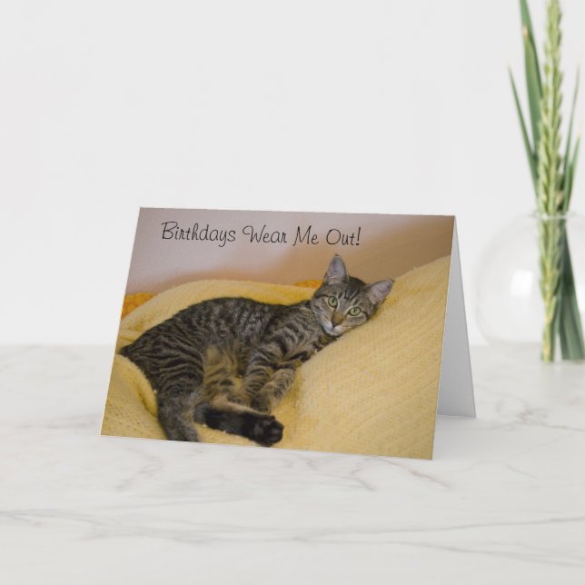 Tired Cat Birthday Card (Front)