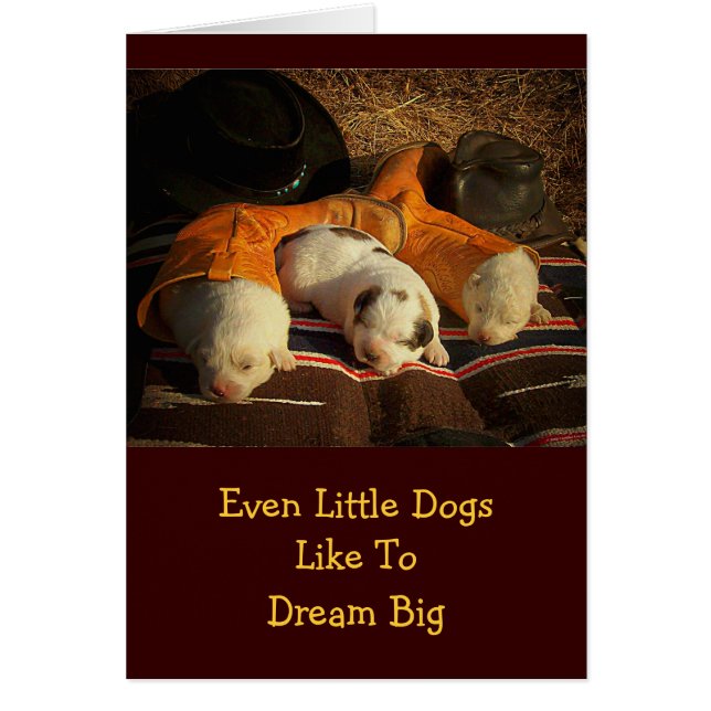 Tired Cowboy Puppies (Front)