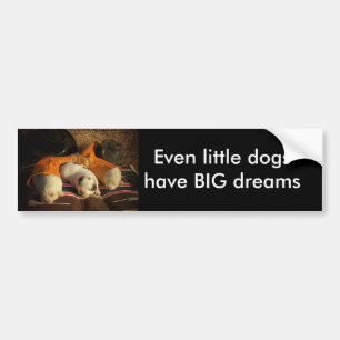 Tired Cowboy Puppies Bumper Sticker