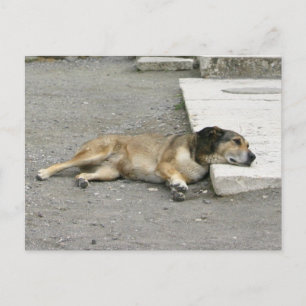 Tired Dog custom postcard