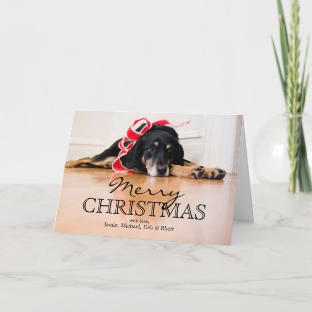 Tired Dog with Christmas ribbons Holiday Card (Front)