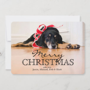Tired Dog with Christmas ribbons Holiday Card
