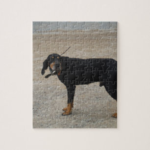 Tired Hunting Dog Jigsaw Puzzle