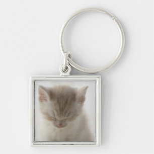 Tired Kitten Sleeping Key Ring