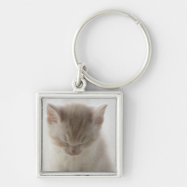 Tired Kitten Sleeping Key Ring (Front)