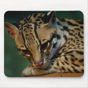 Tired kitty mousepad