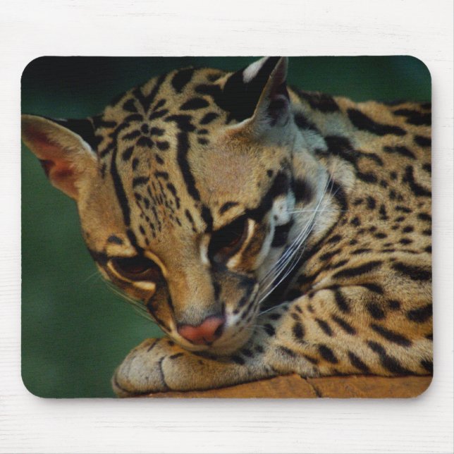 Tired kitty mousepad (Front)