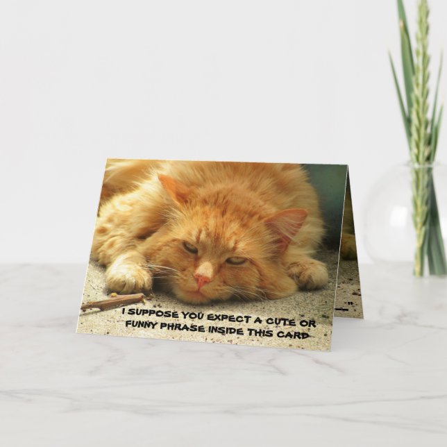 Tired Kitty wants You To Finish His Card (Front)