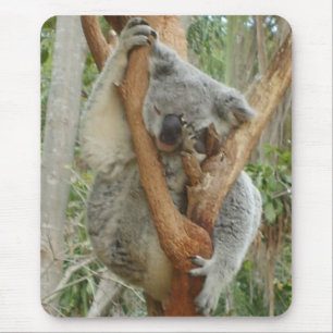 Tired Koala Mouse Mat