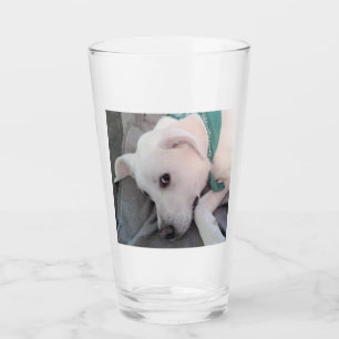 Tired St Patricks Day Dog Wearing Green Glass