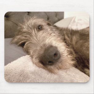 Tired young Irish Wolfhound Mouse Mat