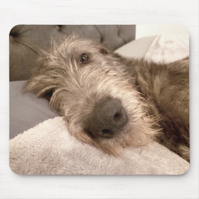 Tired young Irish Wolfhound Mouse Mat (Front)