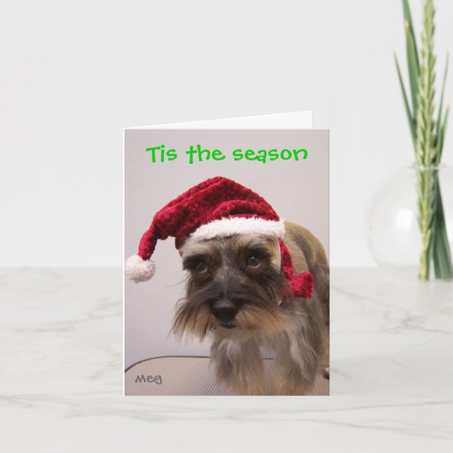 Tis season holiday card (Front)
