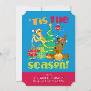 Tis' The Season