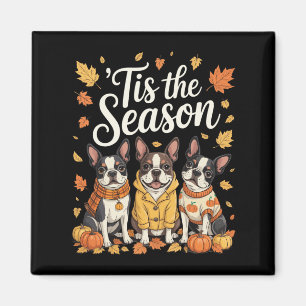 Tis The Season Boston Terrier Fall Autumn Pumpkin  Magnet