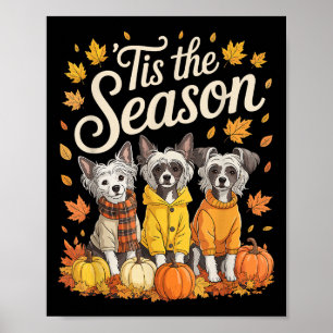 Tis The Season Chinese Crested Dog Fall Autumn Pum Poster