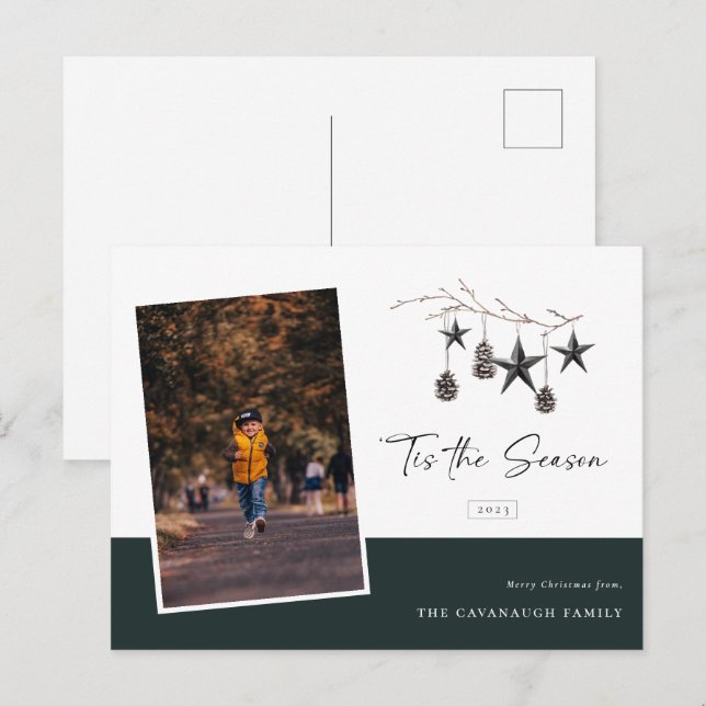 'Tis the Season Cosy Nature Photo Holiday Postcard (Front/Back)