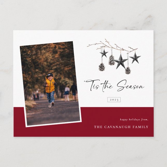 'Tis the Season Cosy Nature Photo Holiday Postcard (Front)