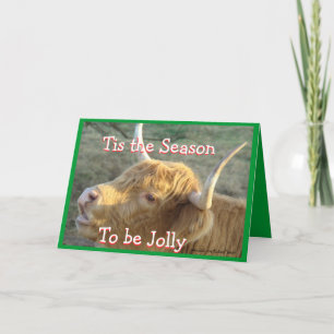 Tis the Season-customise Holiday Card