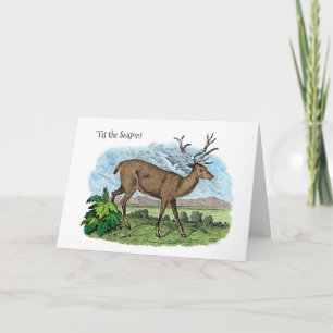 Tis the Season Deer Hunter Christmas Season Card