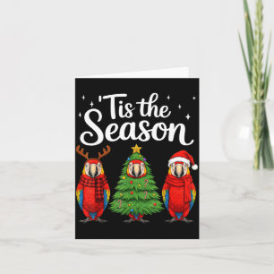 Tis The Season Let Macaw Christmas Santa Parrot Card